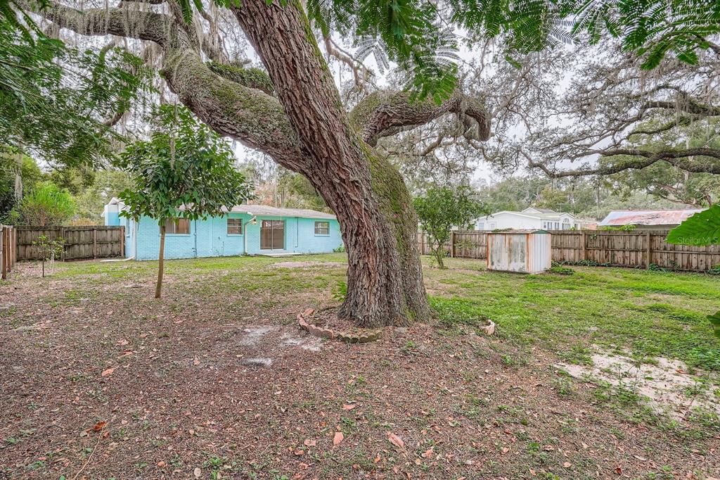 For Sale: $250,000 (3 beds, 2 baths, 1096 Square Feet)