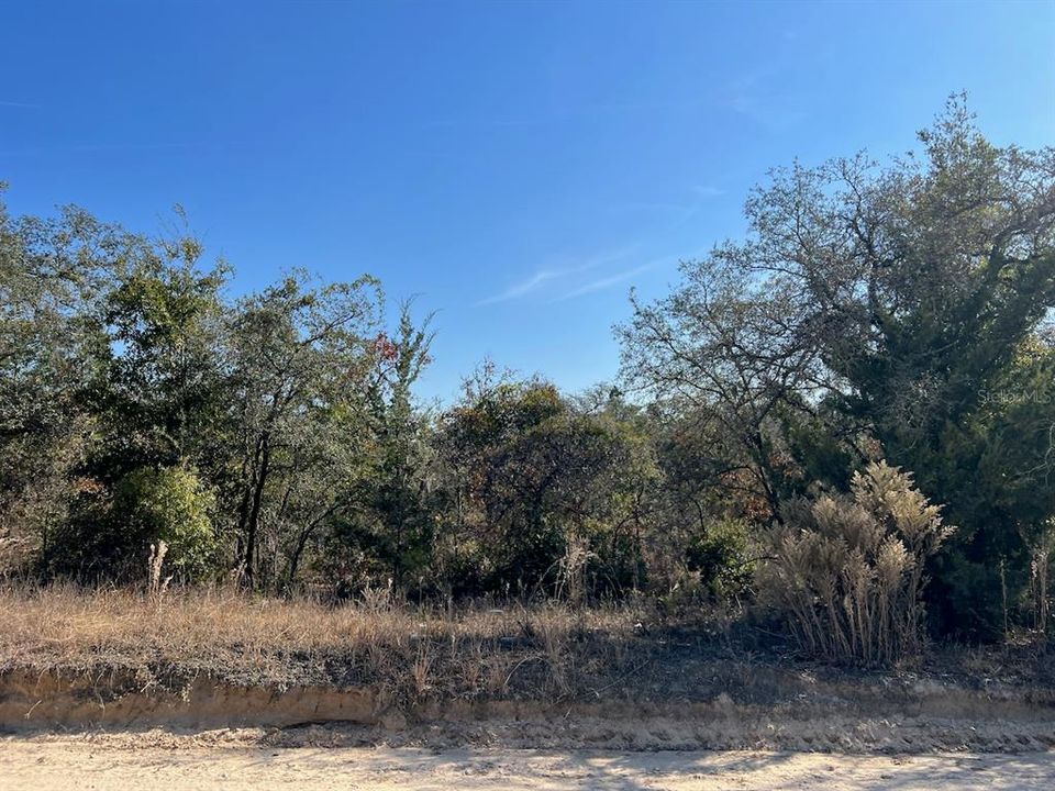 На продажу: $169,000 (10.74 acres)