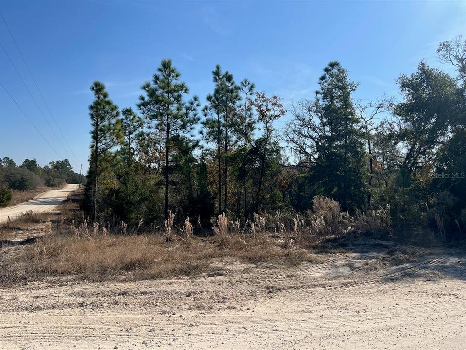 На продажу: $169,000 (10.74 acres)