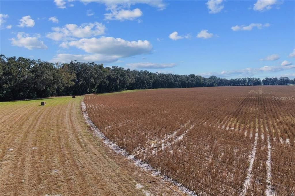 На продажу: $299,000 (19.45 acres)