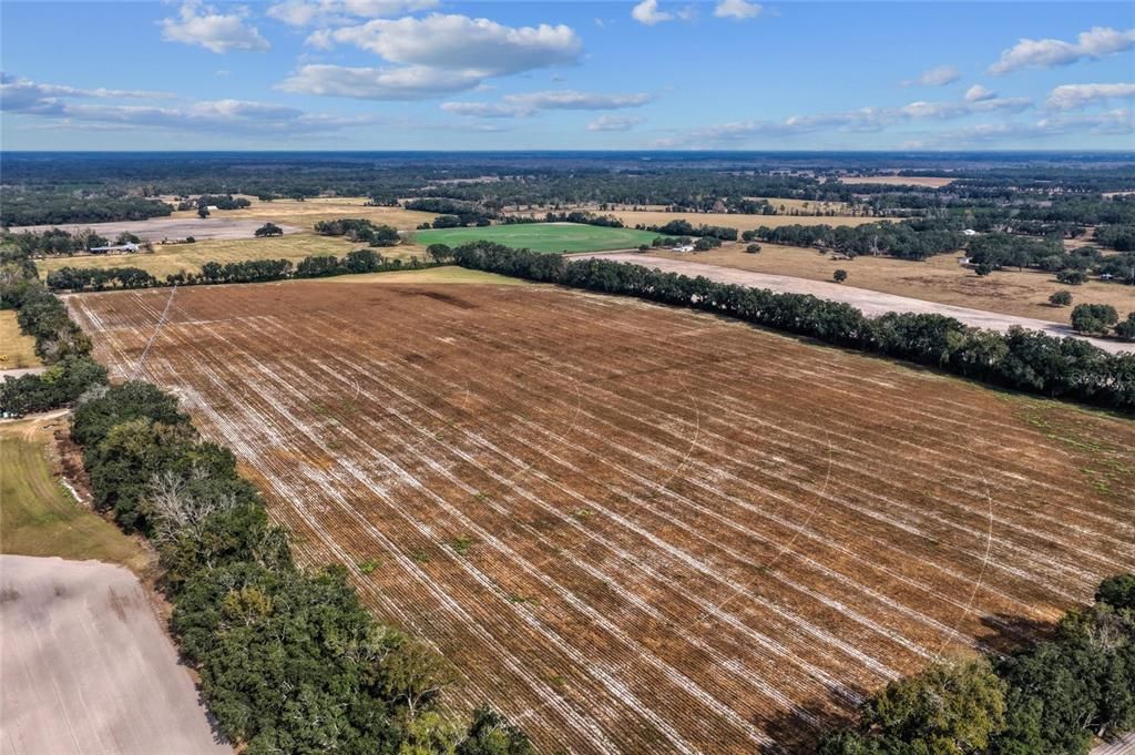 На продажу: $299,000 (19.45 acres)