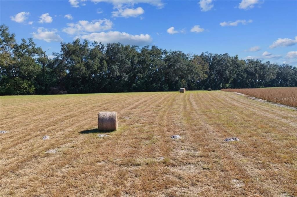 На продажу: $299,000 (19.45 acres)