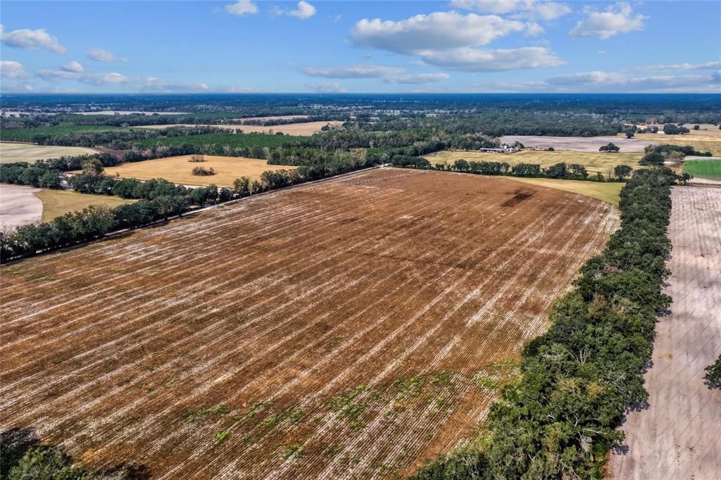 На продажу: $299,000 (19.45 acres)