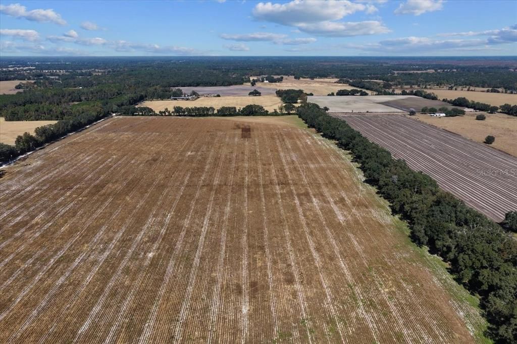 На продажу: $299,000 (19.45 acres)