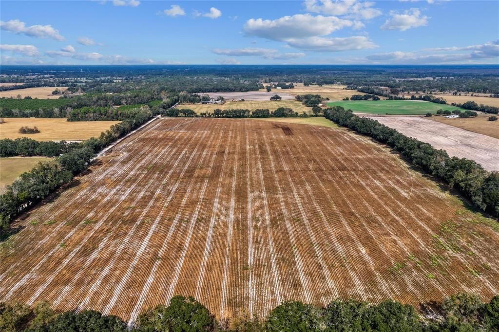 На продажу: $299,000 (19.45 acres)