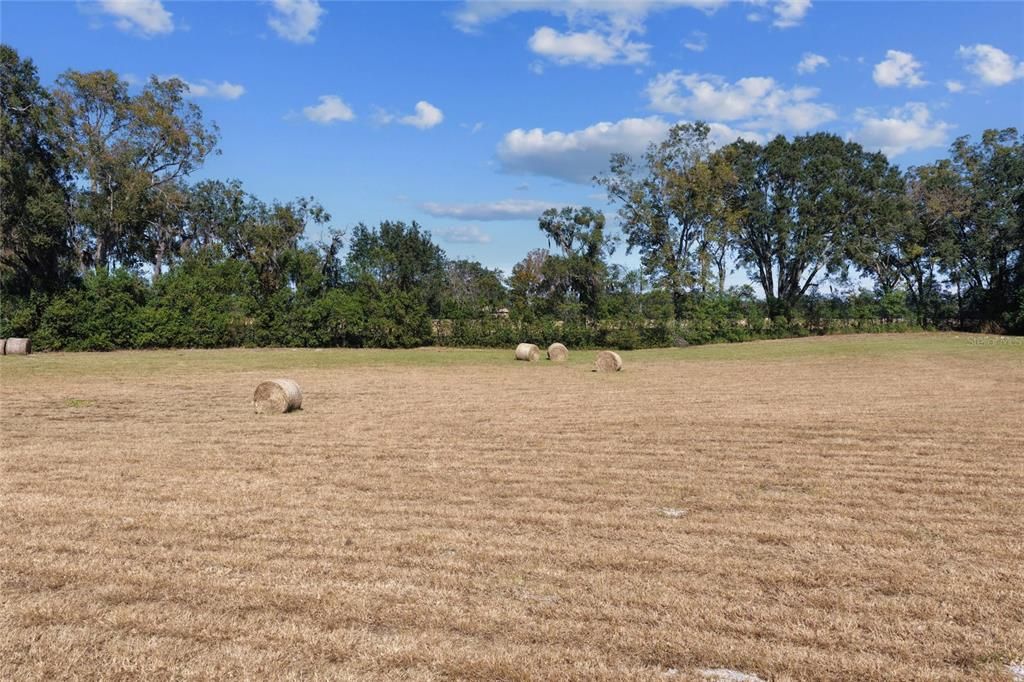 На продажу: $299,000 (19.45 acres)