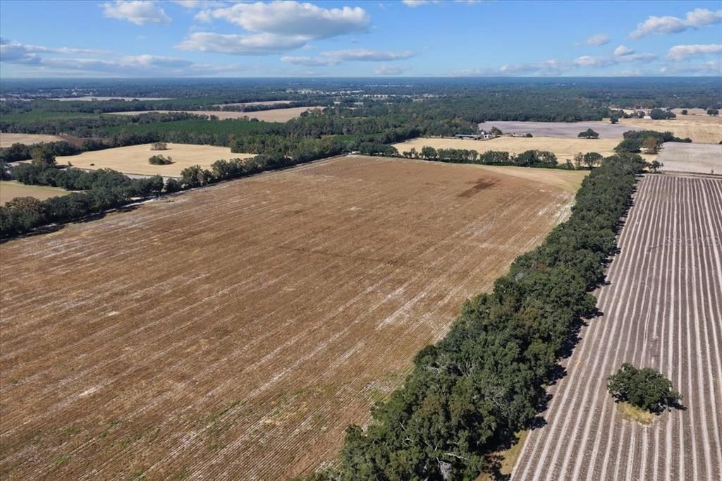 На продажу: $299,000 (19.45 acres)