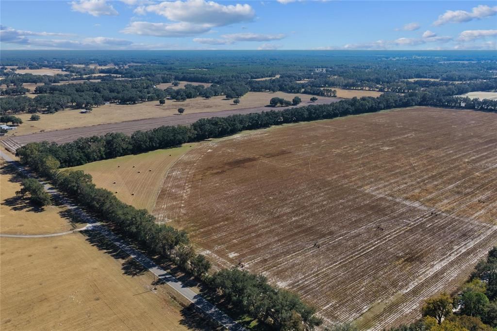 На продажу: $299,000 (19.45 acres)