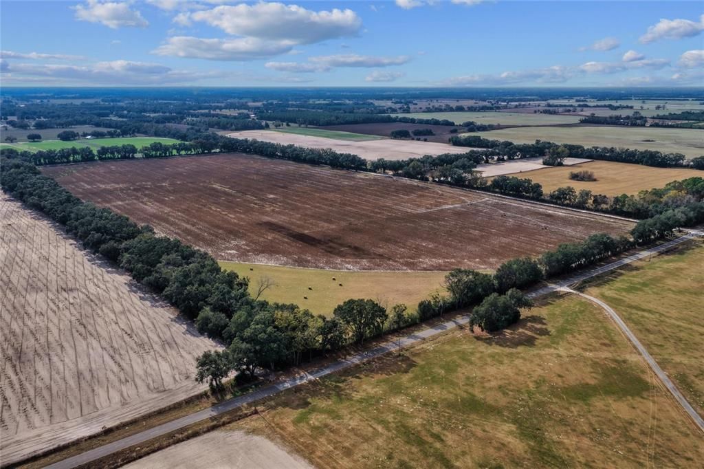 На продажу: $299,000 (19.45 acres)