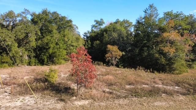 For Sale: $19,500 (0.23 acres)
