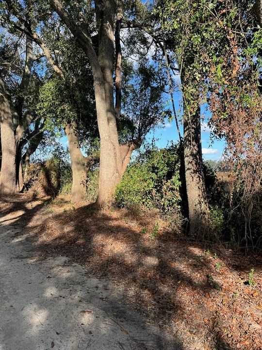 На продажу: $281,400 (20.10 acres)