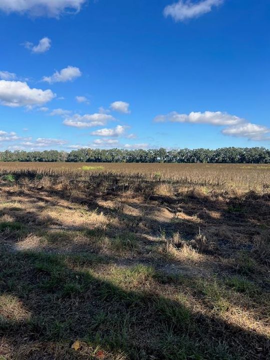 На продажу: $281,400 (20.10 acres)