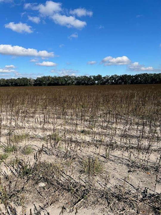 На продажу: $281,400 (20.10 acres)