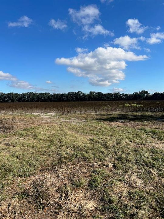 На продажу: $281,400 (20.10 acres)