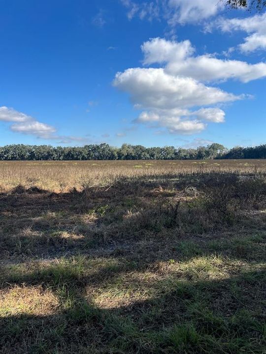 На продажу: $281,400 (20.10 acres)