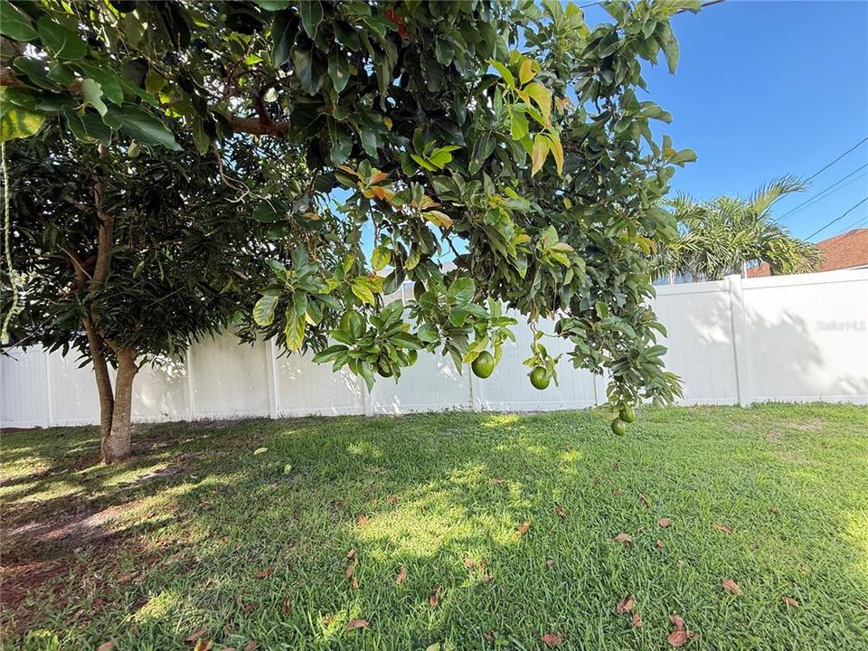 На продажу: $340,000 (3 спален, 2 ванн, 1440 Квадратных фут)