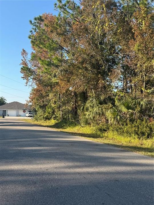 For Sale: $99,900 (0.36 acres)