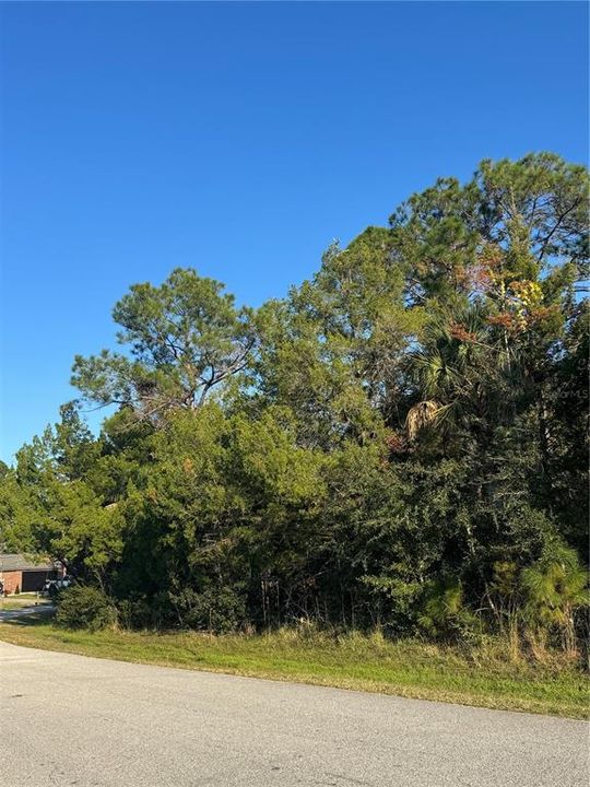 For Sale: $99,900 (0.36 acres)