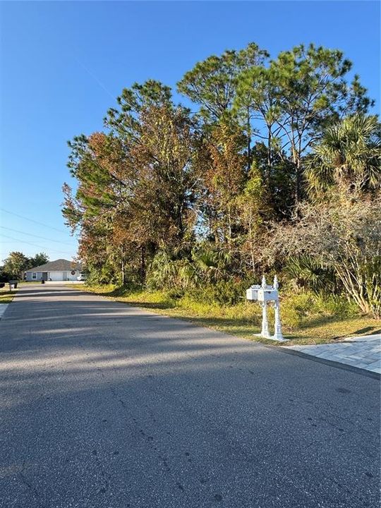 For Sale: $99,900 (0.36 acres)