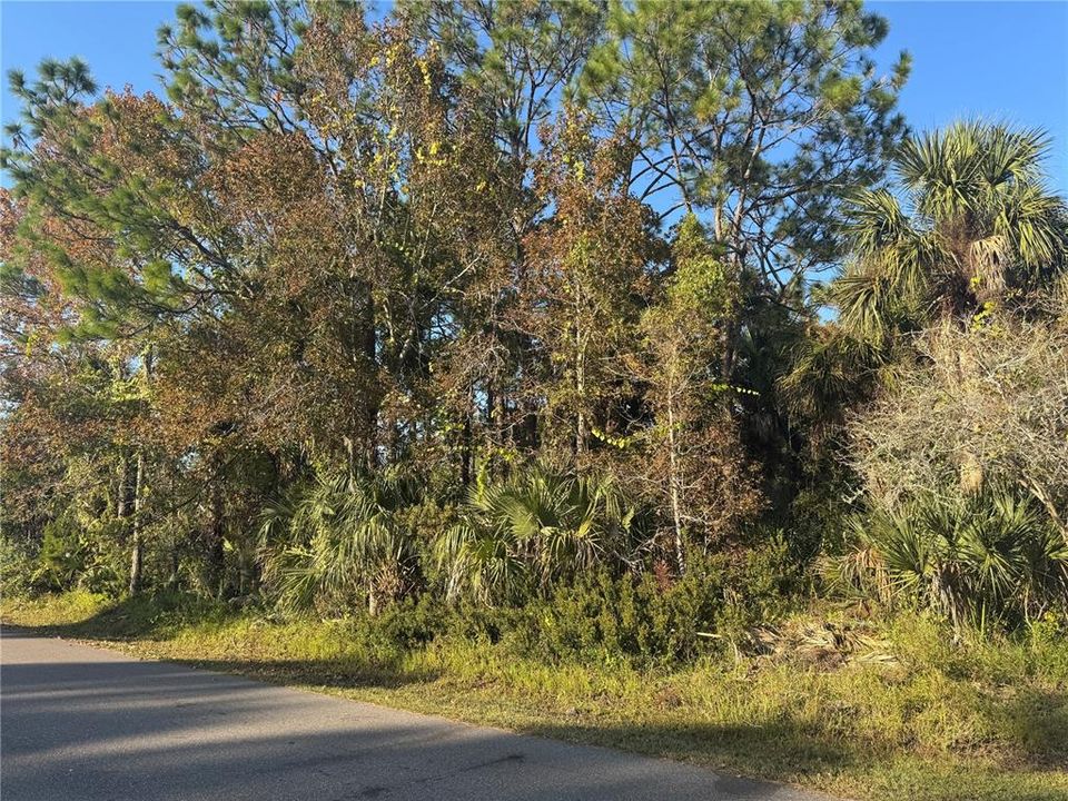 For Sale: $99,900 (0.36 acres)