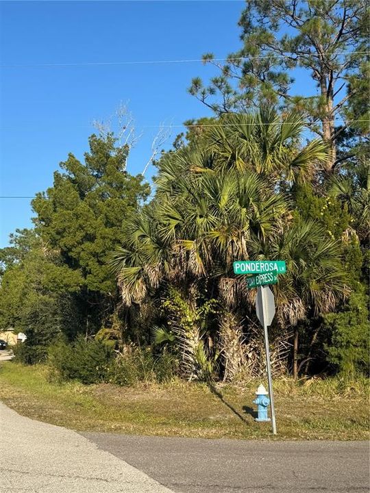 For Sale: $99,900 (0.36 acres)