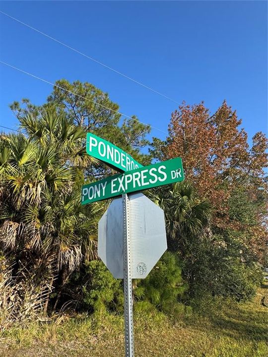 For Sale: $99,900 (0.36 acres)