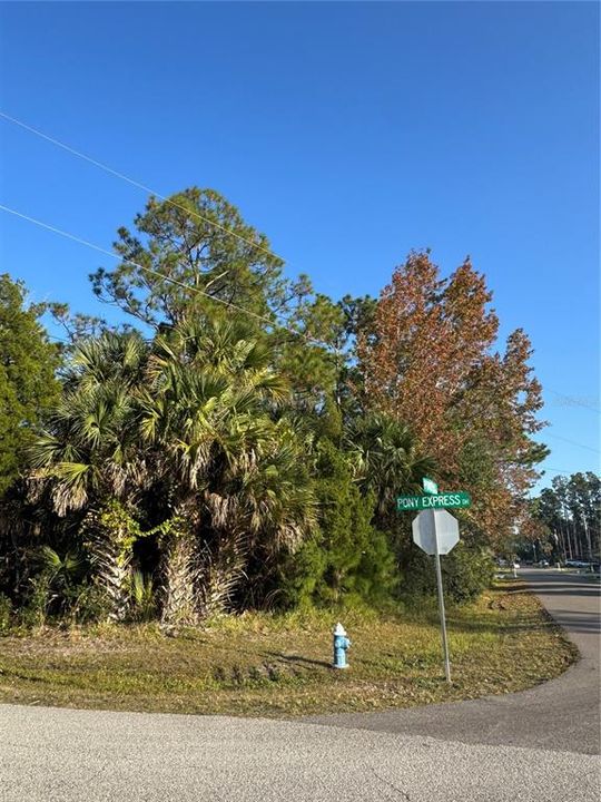 For Sale: $99,900 (0.36 acres)