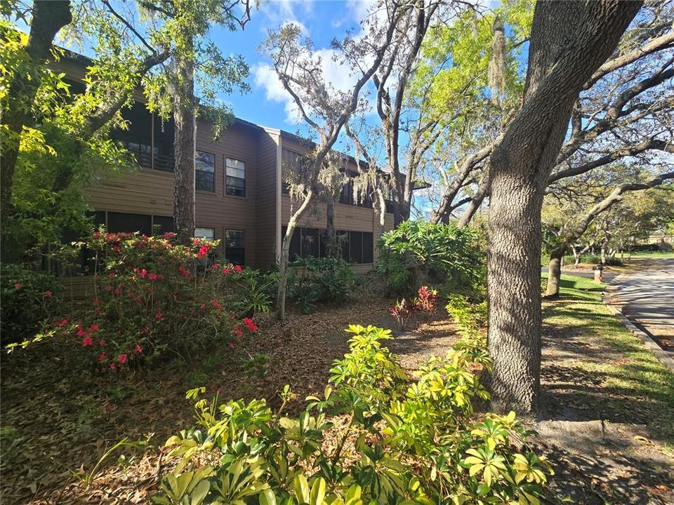 На продажу: $225,000 (2 спален, 2 ванн, 1050 Квадратных фут)