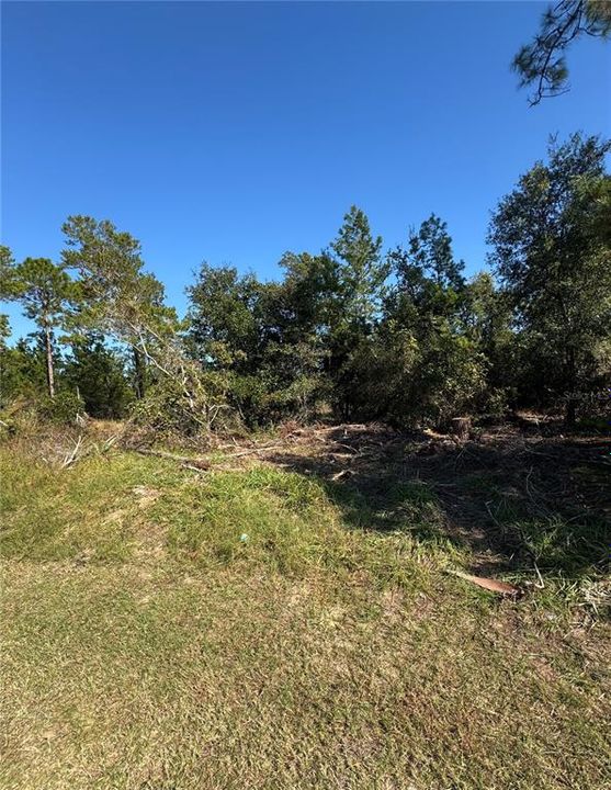 待售: $100,000 (0.23 acres)