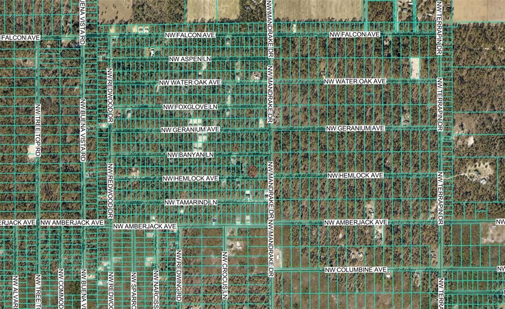 For Sale: $12,500 (0.24 acres)