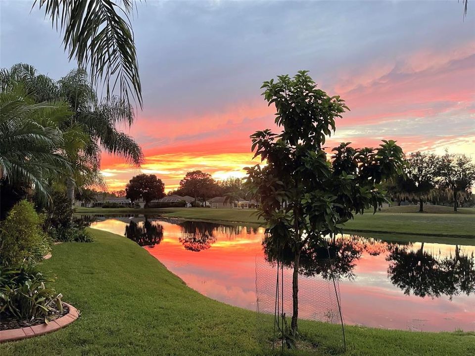 На продажу: $675,000 (5 спален, 3 ванн, 3302 Квадратных фут)