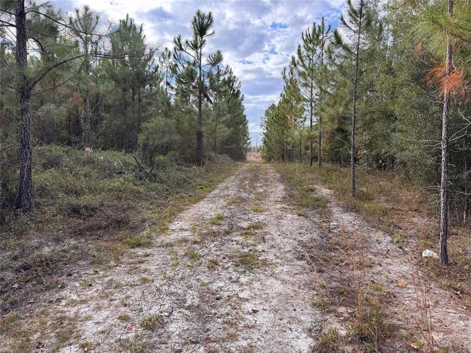 На продажу: $350,000 (26.00 acres)