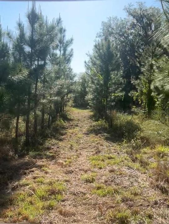 На продажу: $350,000 (26.00 acres)