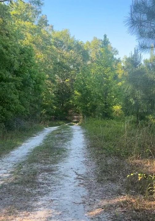 На продажу: $350,000 (26.00 acres)