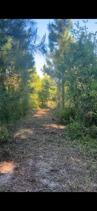 На продажу: $350,000 (26.00 acres)