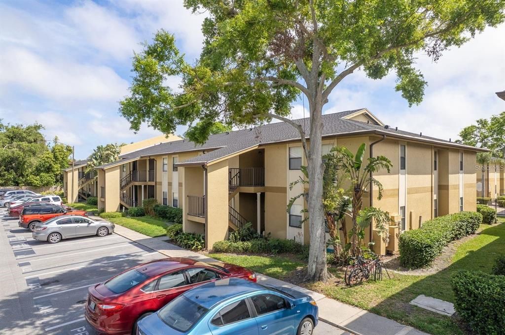 出租: $2,200 (3 贝兹, 2 浴室, 1155 平方英尺)