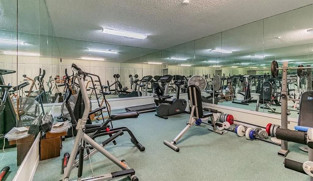 出租: $2,500 (2 贝兹, 1 浴室, 930 平方英尺)