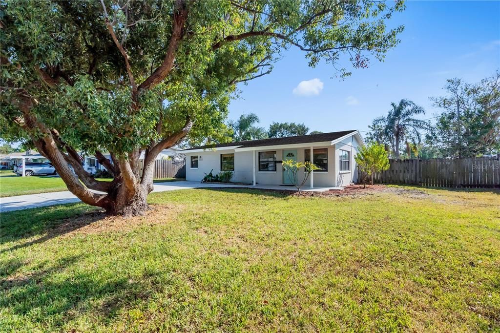 待售: $320,000 (2 贝兹, 1 浴室, 1010 平方英尺)