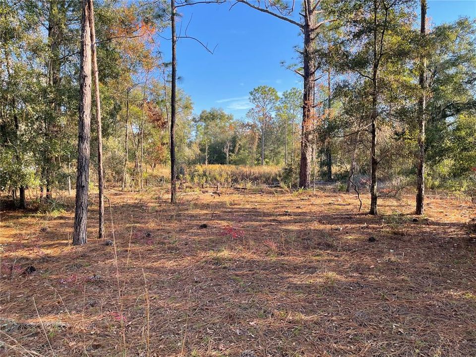 На продажу: $39,900 (1.25 acres)