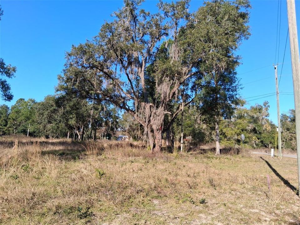 На продажу: $60,000 (0.90 acres)