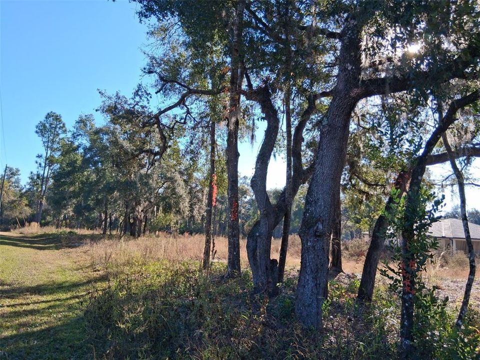 На продажу: $60,000 (0.90 acres)