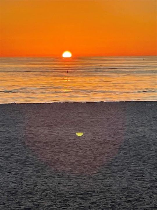 For Sale: $320,000 (0.04 acres)