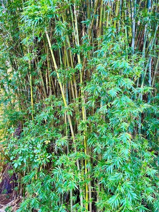 На продажу: $670,000 (4 спален, 2 ванн, 2504 Квадратных фут)