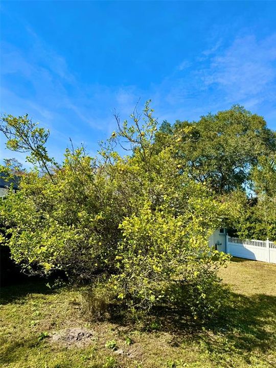 На продажу: $670,000 (4 спален, 2 ванн, 2504 Квадратных фут)