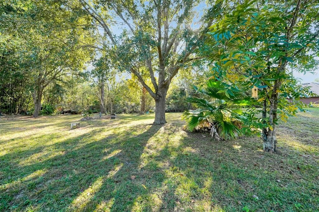 На продажу: $670,000 (4 спален, 2 ванн, 2504 Квадратных фут)