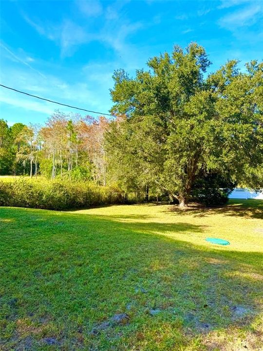 На продажу: $670,000 (4 спален, 2 ванн, 2504 Квадратных фут)