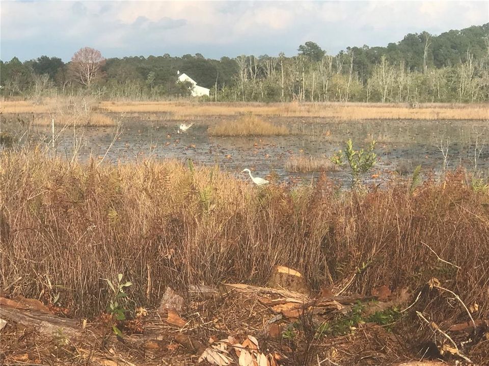 For Sale: $100,000 (5 beds, 3 baths, 2126 Square Feet)