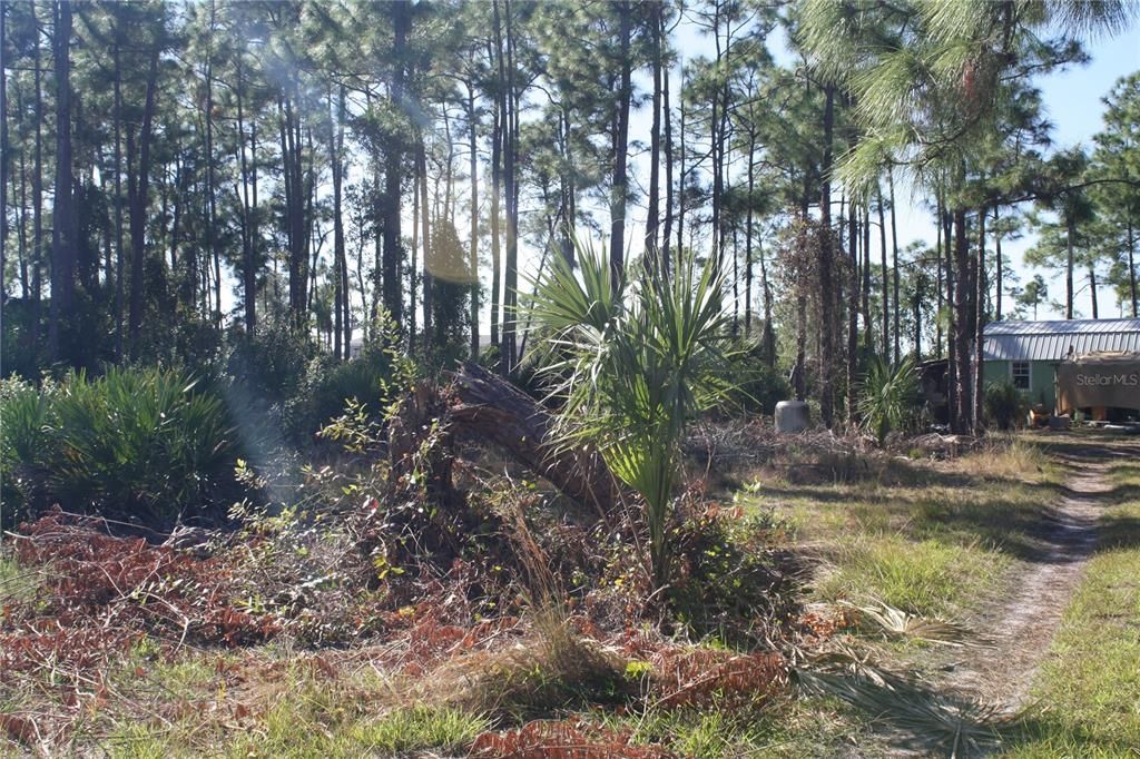 En Venta: $89,000 (1.25 acres)