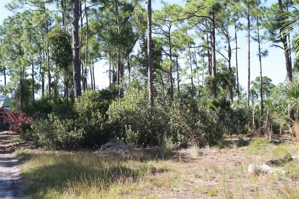 En Venta: $89,000 (1.25 acres)