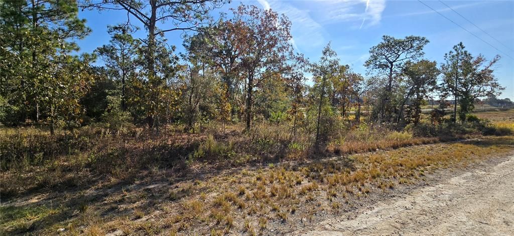 En Venta: $24,500 (0.48 acres)